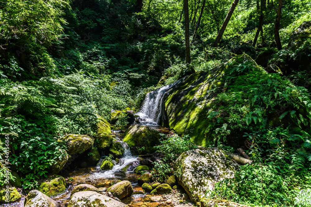 Turquoise blue waterfall in the Great Himalayan National Park also known as GHNP. GHNP is the UNESCO world heritage site & a protected wildlife sanctuary. Turquoise blue waterfall in the Great Himalayan National Park also known as GHNP. GHNP is the UNESCO world heritage site & a protected wildlife sanctuary.