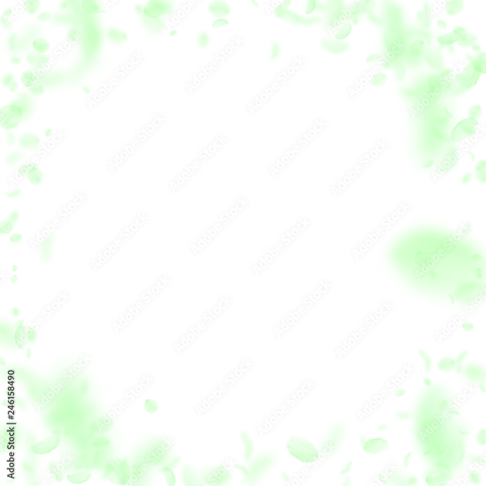 Green flower petals falling down. Fresh romantic f