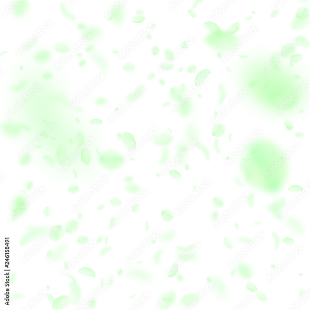Fototapeta premium Green flower petals falling down. Fresh romantic f