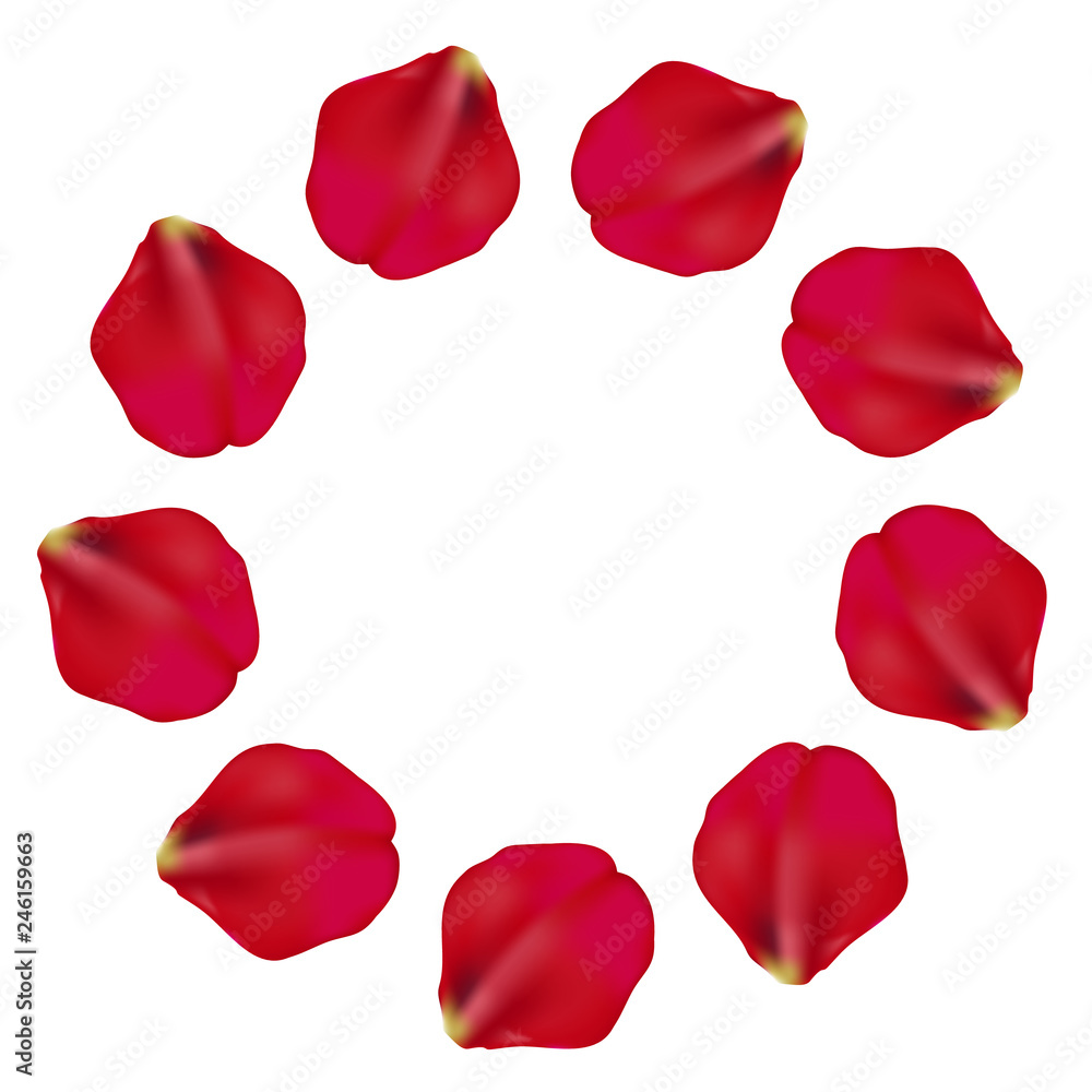 Fototapeta premium red color petals round pattern frame design on white background, vector illustration