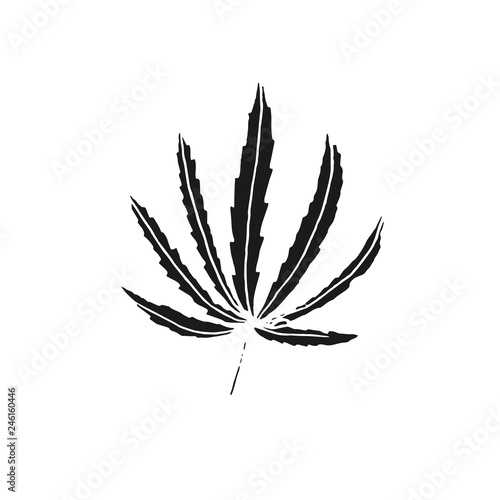 cannabis leaf vector doodle sketch isolated on white background