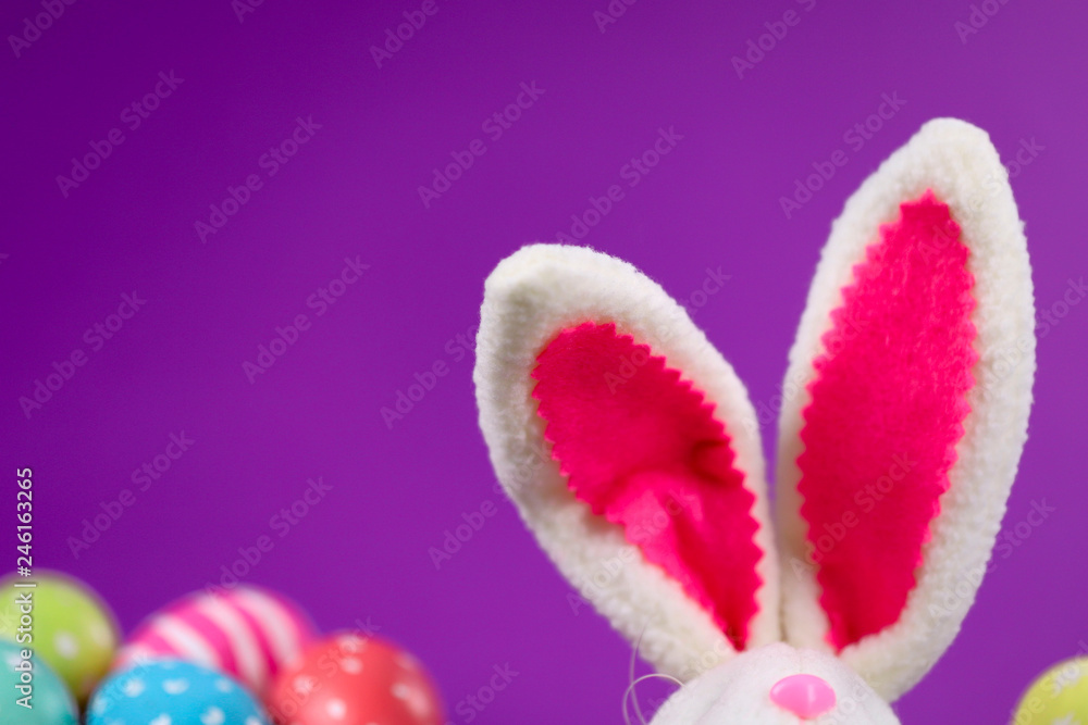 Easter background. On the right are the Easter Bunny's ears and hand-painted colored eggs on the purple background behind it. Cropped shot, close-up, horizontal, blurred, empty space. Easter concept.