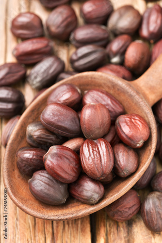 close up of dried jojoba seeds in the wooden spoon, on the wooden table