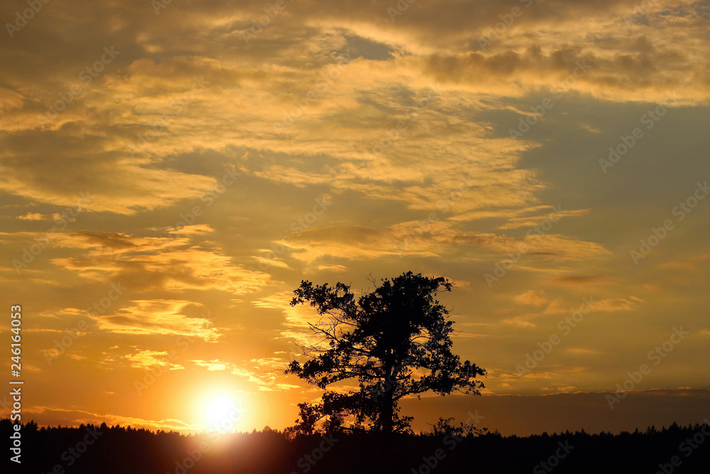 Obraz premium beautiful sunset over the landscape