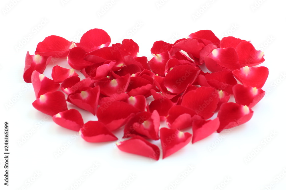red heart of rose petals red heart of rose petals