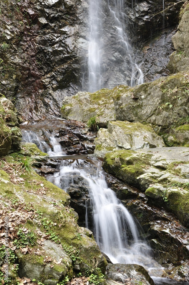 Fototapeta premium 日本の滝百選 払沢の滝