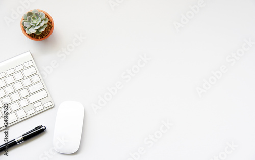 Working with keyboard and Succulent copy space on White table background.Top view,Flat lay,style Minmal workspace,business Concept