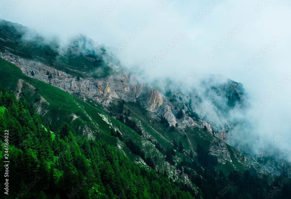 Obraz premium Beautiful foggy mystic mountains. Fog clouds at the pine tree mystical woods, morning. Europe, mysterious alpine landscape.