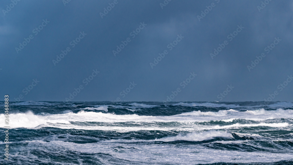 Fototapeta premium Coup de vent