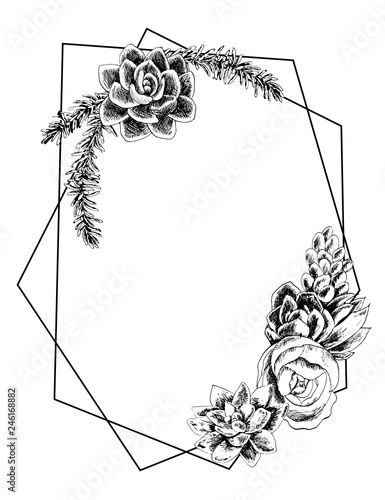Geometric frame with succulents, hand-drawn with mascara and feather, botanical illustration. Wedding Card Invitation