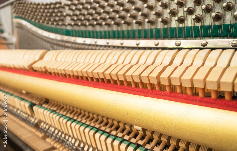 Close-up view of hammers and strings inside the piano. Close-up view of hammers and strings inside the piano.