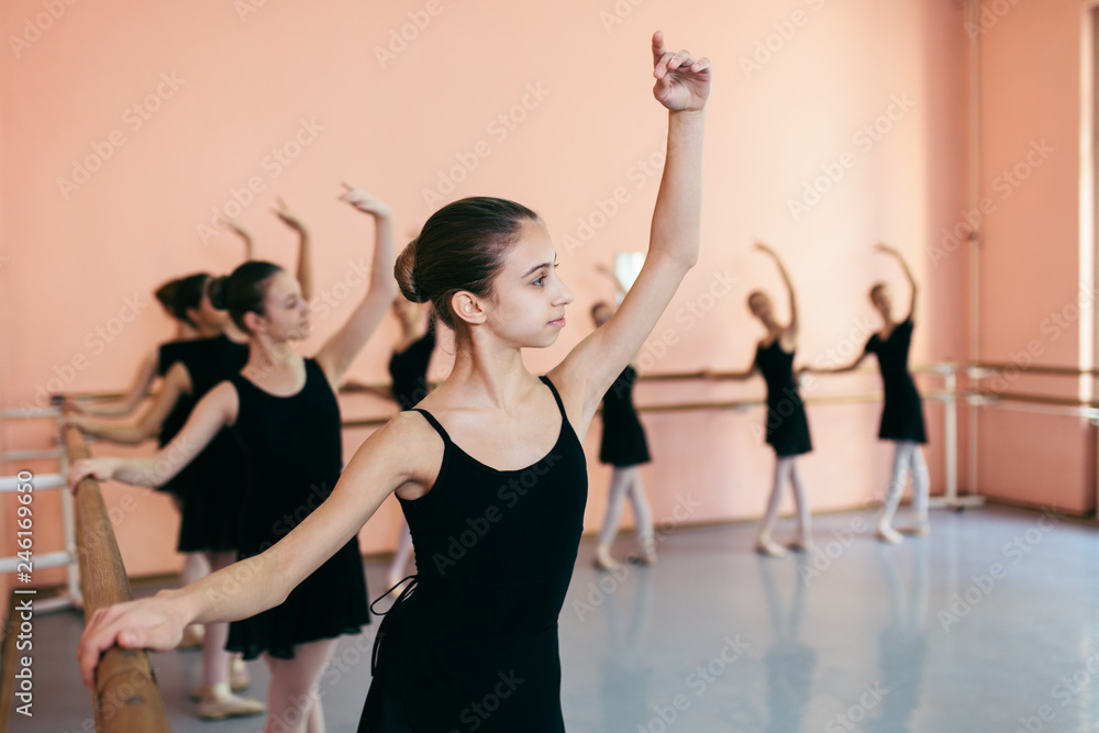 Obraz premium The group of beautiful teenage girls practicing ballet dance.