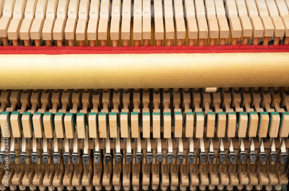Close-up view of hammers and strings inside the piano. Close-up view of hammers and strings inside the piano.