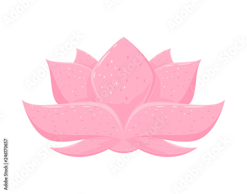 Fototapeta Naklejka Na Ścianę i Meble -  Lotus