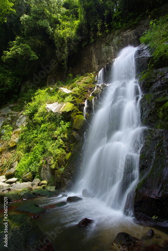 Fototapeta Naklejka Na Ścianę i Meble -  滝（waterfall）