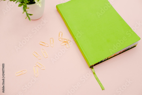  Photo of pencil and notepad on pink background with copy space.Creative flat lay photo of workspace desk with a plant minimal style. Flat lay blog mock-up. 