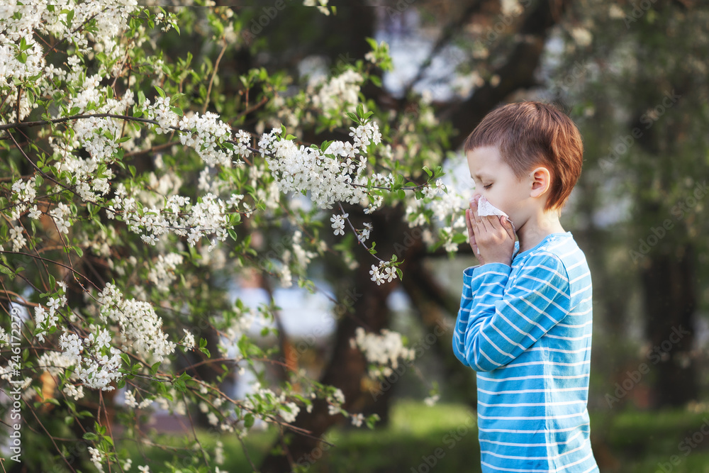 Boy sneezes in the park against the background of a flowering tree because he is allergic . Boy sneezes in the park against the background of a flowering tree because he is allergic .
