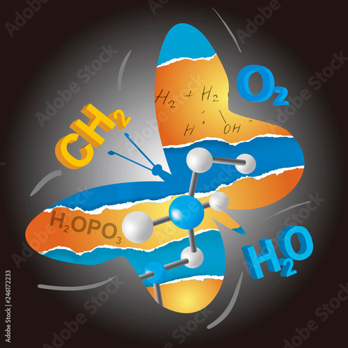 Easy learning of chemistry, butterfly concept.  Butterfly silhouette with chemistry symbols on torn paper. Concept symbolizing the easy learning of chemistry.Isolated on white background. Vector avail