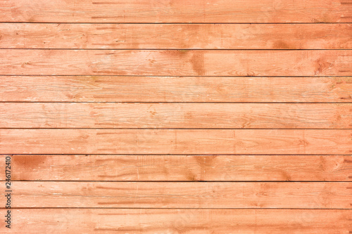 Coral wooden background. Living coral texture