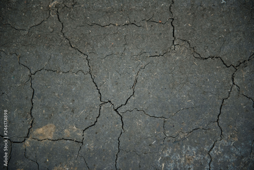 Fototapeta premium Cracks in the ground