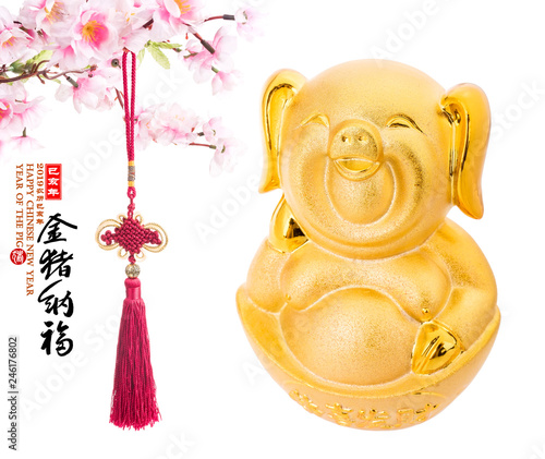 gold piggy bank,Chinese black characters translation: "pig".left side chinese wording & seal translation:Chinese calendar for the year of pig 2019,word on pig translation: good luck for money