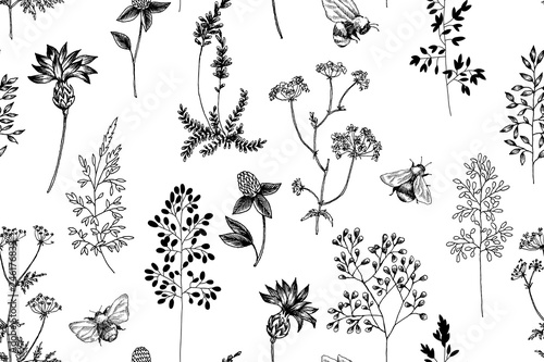 Wild flowers blossom branch seamless pattern. Vintage botanical hand drawn illustration. Spring herbal flowers with different plants of vintage garden and forest. Vector design. Can use for greeting c photo
