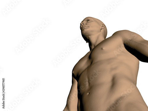 Nude male torso