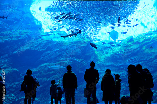 水族館の大水槽と観覧者のシルエット