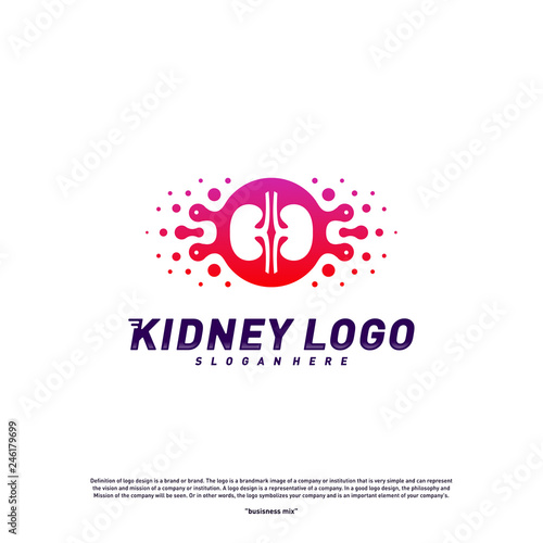 Colorful Kidney Logo Design Concept. Urology Logo Vector Template