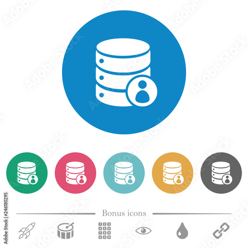 Database privileges flat round icons
