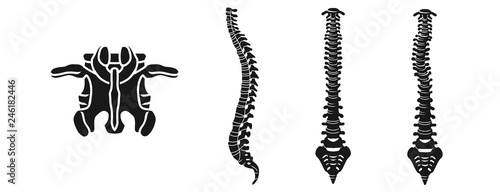 Spine icons set. Simple set of spine vector icons for web design on white background
