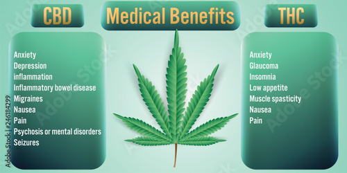 CBD,THC Cannabis Medical Benefits background.Vector Illustration