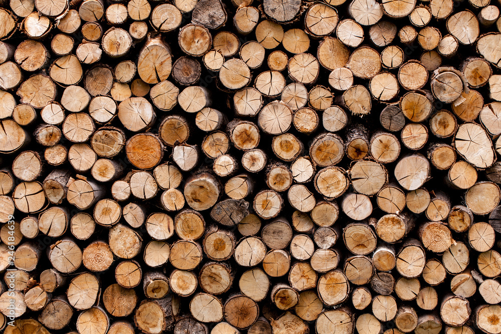 Sawed tree trunks and branches in different sizes, piled up in blue container Wood storage industry. Background of dry chopped firewood logs stacked up on top of each other in a pile. Sawed tree trunks and branches in different sizes, piled up in blue container Wood storage industry. Background of dry chopped firewood logs stacked up on top of each other in a pile.
