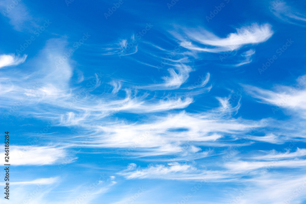 Multiple contrails cross paths through the sky above a layer of cloud Multiple contrails cross paths through the sky above a layer of cloud