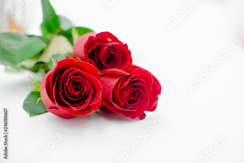 Flowers composition made of rose flowers on white background. Flat lay  top view  copy space . Horizontal view  several objects