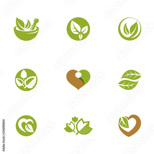Phytotherapy metaphor, vector graphic emblems collection. Vegetarian lifestyle conceptual illustrations.