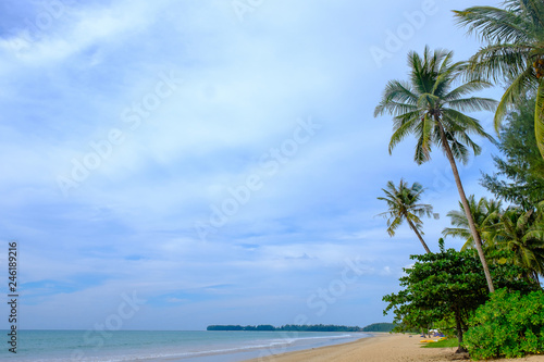 Coconut tree seaside. © Winyou
