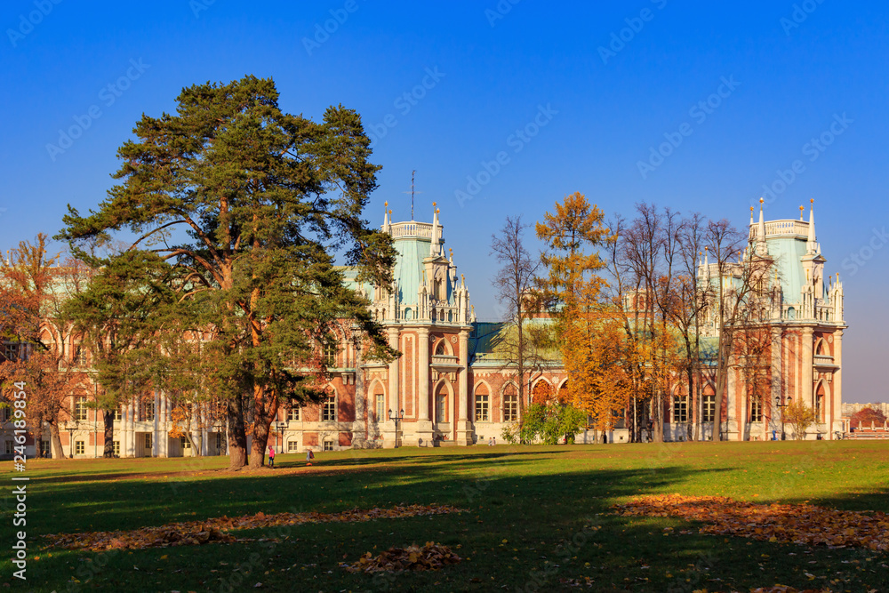 Obraz premium Grand palace in Tsaritsyno park in Moscow on a background of old tall spruce on the lawn at sunny autumn day