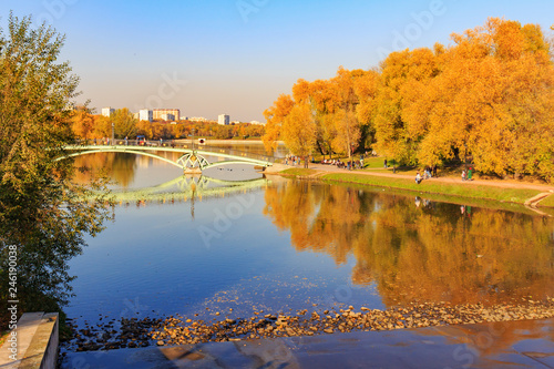 View of pond and bridge over water surface in Tsaritsyno park in Moscow at sunny autumn day