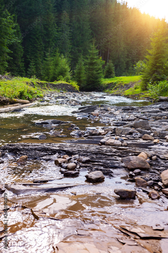 Fototapeta premium beautiful mountain river