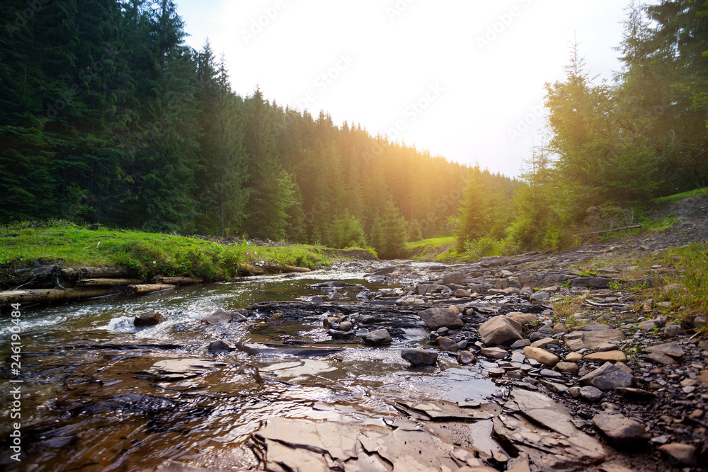Fototapeta premium beautiful mountain river