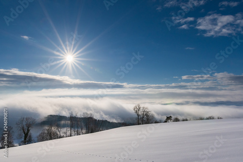 Wallpaper Mural Winterlandschaft mit Schnee und Sonne Torontodigital.ca
