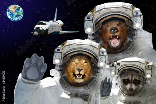 Space is available to all. Bear, raccoon and lion in space against the background of the space shuttle and the planet Earth. Elements of this image furnished by NASA.