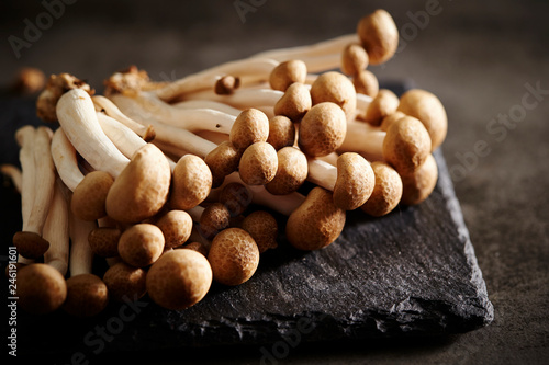 Beech mushroom 