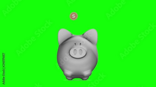 Piggy Bank Flat loop