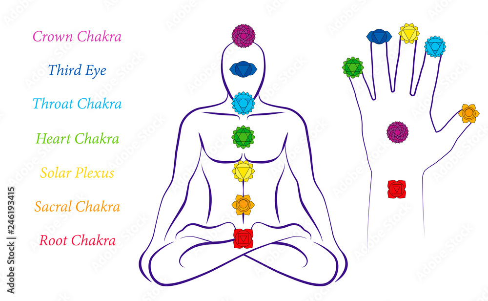 Body and hand chakras of a man - Illustration of a meditating male in yoga position with the seven main chakras and their names.
 - obrazy, fototapety, plakaty 