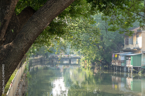 bridge over the river