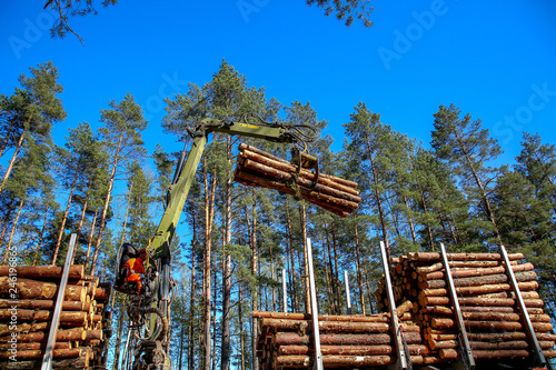 Crane loading logs in the truck.