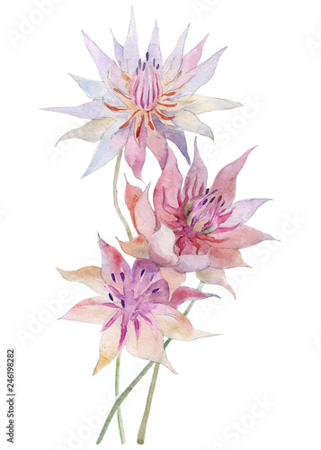 Εκτύπωση καμβά White protea