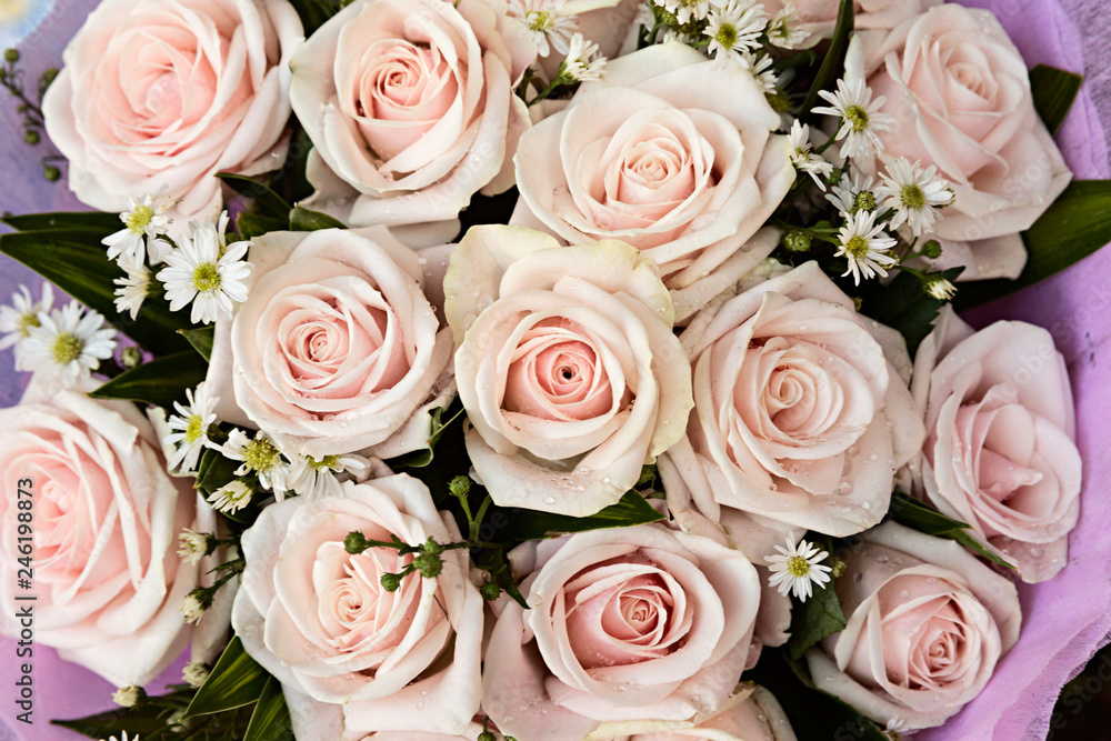 Ramo de rosas de color rosa. Ramo de rosas de color rosa.
